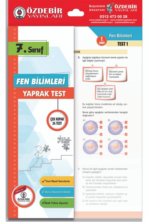 7.sınıf Fen Bilimleri Yaprak Test